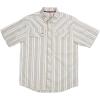 Earth Vertical Stripe