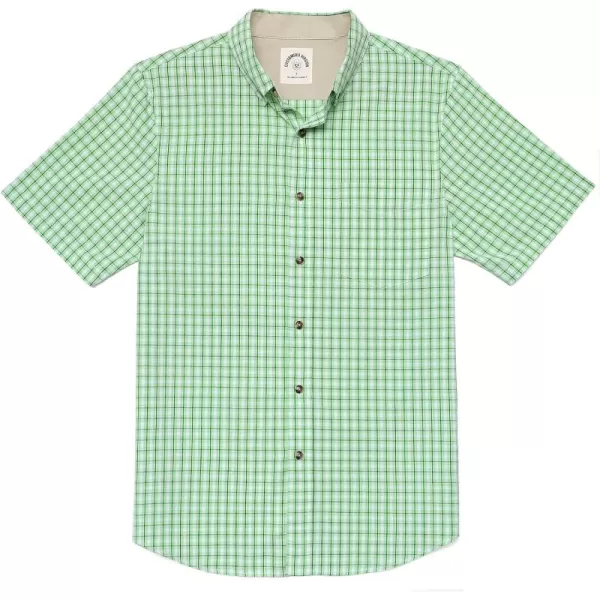 Bright Green