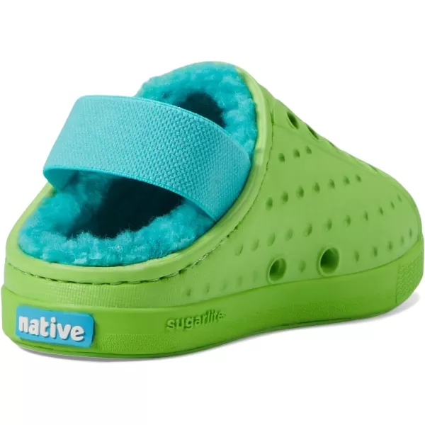 Native Shoes Jefferson Cozy 