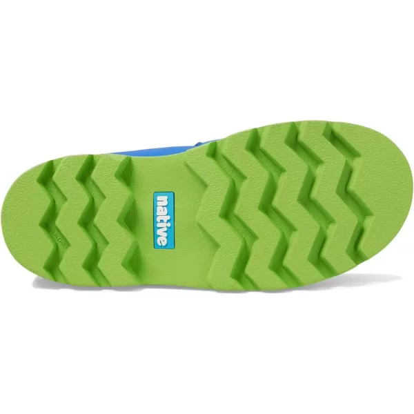 Native Shoes Kensington Treklite Bloom 