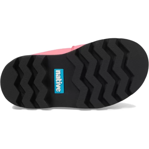 Native Shoes Kensington Treklite Bloom 