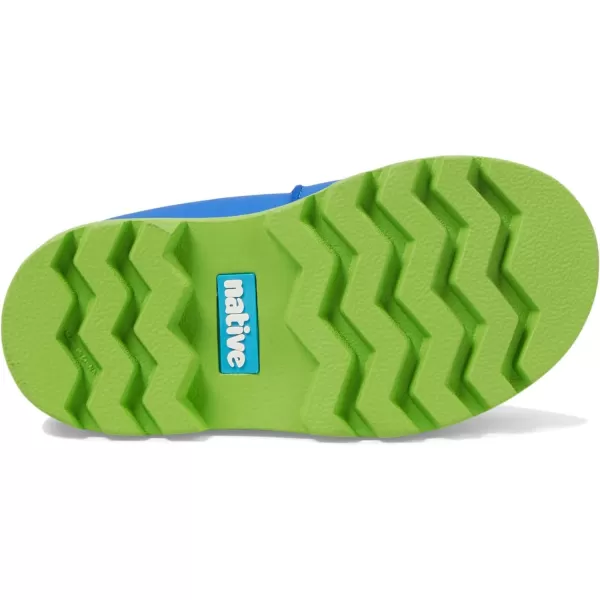 Native Shoes Kensington Treklite Bloom 