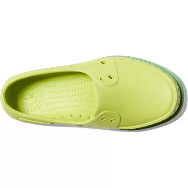 Native Shoes Kids Howard Sugarlite Sneakers for Little Kid - Synthetic Upper with Perforated Design, Slip-On Style, and Deck Silhouette