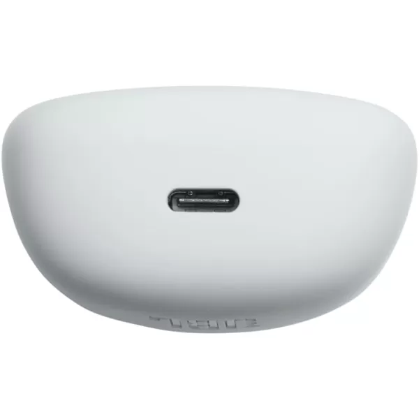 JBL Tune 225TWS True Wireless Earbud Headphones - Pure Bass Sound, Bluetooth, 25H Battery, Dual Connect, Native Voice Assistant 