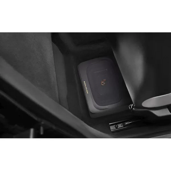 Infinity Basslink Mini - Powered 6x8 underseat subwoofer - Titanium