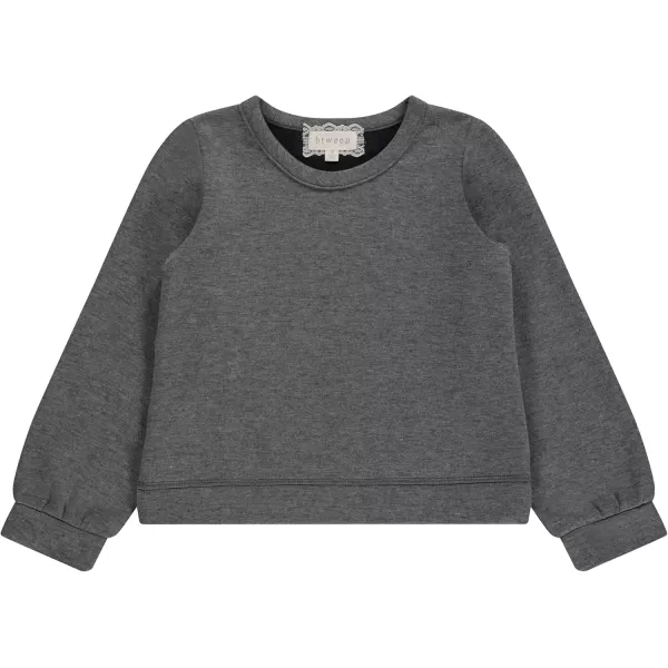 BTween Girls 3 Piece Long Sleeve Crew Neck Pullovers, Fleece Sweatshirt for Youth Kids