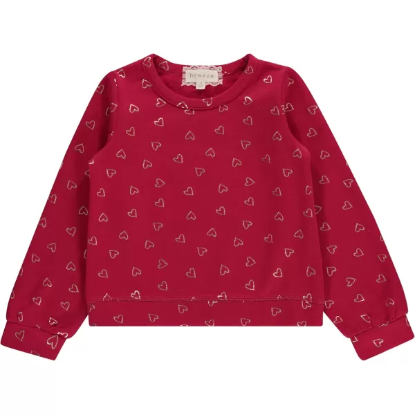BTween Girls 3 Piece Long Sleeve Crew Neck Pullovers, Fleece Sweatshirt for Youth Kids
