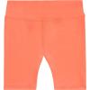 imageBTween Girls 4 Pack Bike Shorts Stretchy Soft High Waist Athletic Shorts for Kids with Fun Prints ColorsLeopd