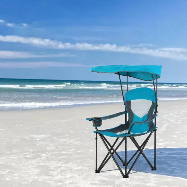 LETS CAMP Camp Chair with Shade Canopy Folding Camping Chair with Cup Holder and Carry Bag for Outdoor Camping Hiking Beach Heavy Duty 350 LBSBaby Blue