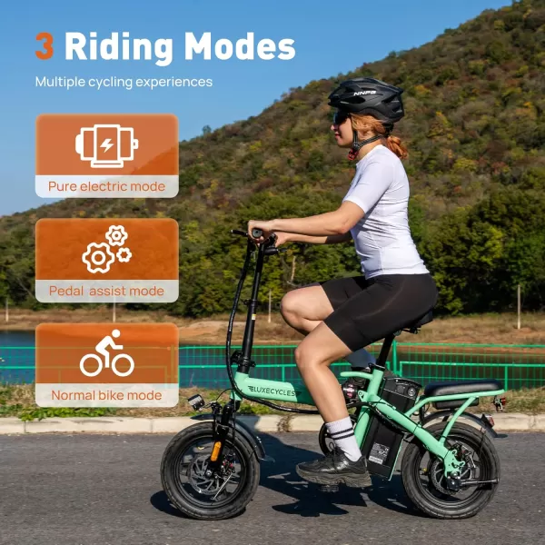 imageLETS CAMP Electric Bike Foldable 1420quot Tire 500W1000W Peak Motor 20Mph28Mph Folding Ebike48V 13AH Removable BatteryLCD DisplayElectric Bike for Adults for Commute Beach Snow14IN Bright Green