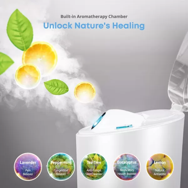 NanoSteamer PRO Professional 4in1 Nano Ionic Facial Steamer for Spas  30 Min Steam Time  Humidifier  Unclogs Pores  Blackheads  Spa Quality  5 Piece Stainless Steel Skin Kit Included