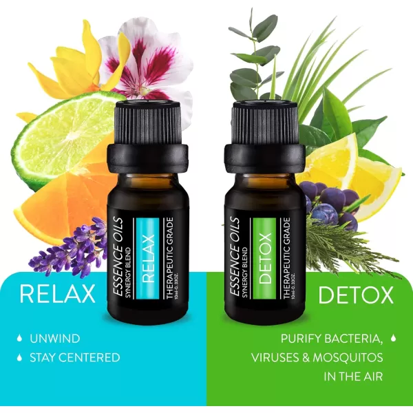 Pure Daily Care Aromatherapy Top 10 Essential Oil Synergy Blend Set  Therapeutic Grade Synergy Oil Blends  Uplift Mind Body and Spirit  10 x 10 Ml Blends  No Fillers ampamp No AdditivesBlend Set Oils