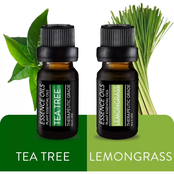 Pure Daily Care Aromatherapy Top 10 Essential Oil Synergy Blend Set  Therapeutic Grade Synergy Oil Blends  Uplift Mind Body and Spirit  10 x 10 Ml Blends  No Fillers ampamp No AdditivesSingle Ingredient Oils
