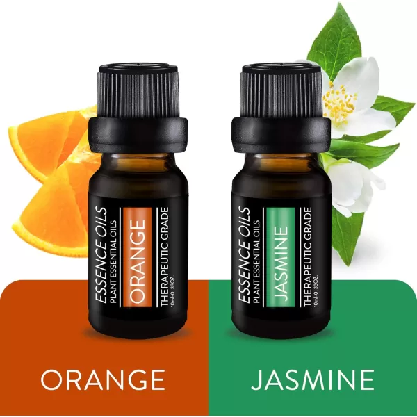 Pure Daily Care Aromatherapy Top 10 Essential Oil Synergy Blend Set  Therapeutic Grade Synergy Oil Blends  Uplift Mind Body and Spirit  10 x 10 Ml Blends  No Fillers ampamp No AdditivesSingle Ingredient Oils