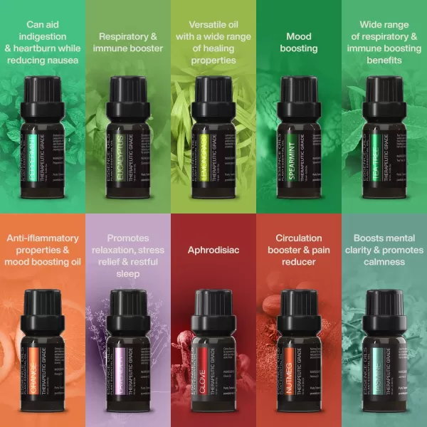 Pure Daily Care Aromatherapy Top 10 Essential Oil Synergy Blend Set  Therapeutic Grade Synergy Oil Blends  Uplift Mind Body and Spirit  10 x 10 Ml Blends  No Fillers ampamp No AdditivesSingle Ingredient Oils