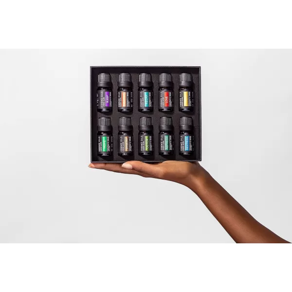 Pure Daily Care Aromatherapy Top 10 Essential Oil Synergy Blend Set  Therapeutic Grade Synergy Oil Blends  Uplift Mind Body and Spirit  10 x 10 Ml Blends  No Fillers ampamp No AdditivesBlend Set Oils