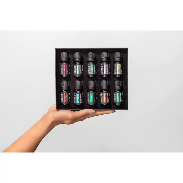 Pure Daily Care Aromatherapy Top 10 Essential Oil Synergy Blend Set  Therapeutic Grade Synergy Oil Blends  Uplift Mind Body and Spirit  10 x 10 Ml Blends  No Fillers ampamp No AdditivesSingle Ingredient Oils