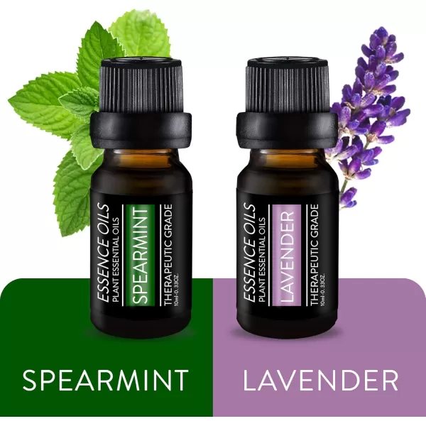 Pure Daily Care Aromatherapy Top 10 Essential Oil Synergy Blend Set  Therapeutic Grade Synergy Oil Blends  Uplift Mind Body and Spirit  10 x 10 Ml Blends  No Fillers ampamp No AdditivesSingle Ingredient Oils