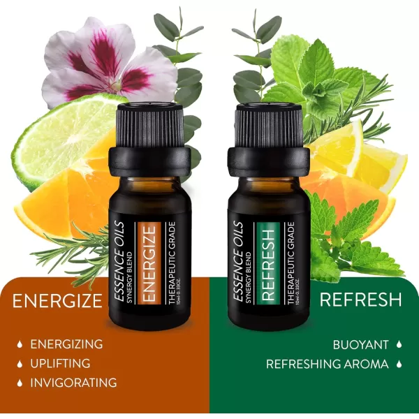 Pure Daily Care Aromatherapy Top 10 Essential Oil Synergy Blend Set  Therapeutic Grade Synergy Oil Blends  Uplift Mind Body and Spirit  10 x 10 Ml Blends  No Fillers ampamp No AdditivesBlend Set Oils