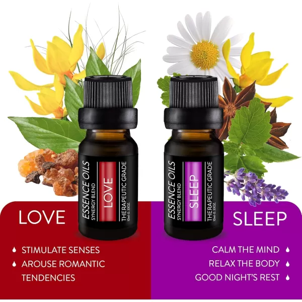 Pure Daily Care Aromatherapy Top 10 Essential Oil Synergy Blend Set  Therapeutic Grade Synergy Oil Blends  Uplift Mind Body and Spirit  10 x 10 Ml Blends  No Fillers ampamp No AdditivesBlend Set Oils