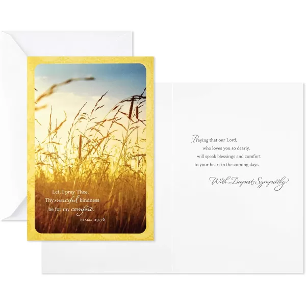 Dayspring Assorted Religious Sympathy Cards Christian Prayers 16 Cards and EnvelopesSympathy Cards 12 Ct