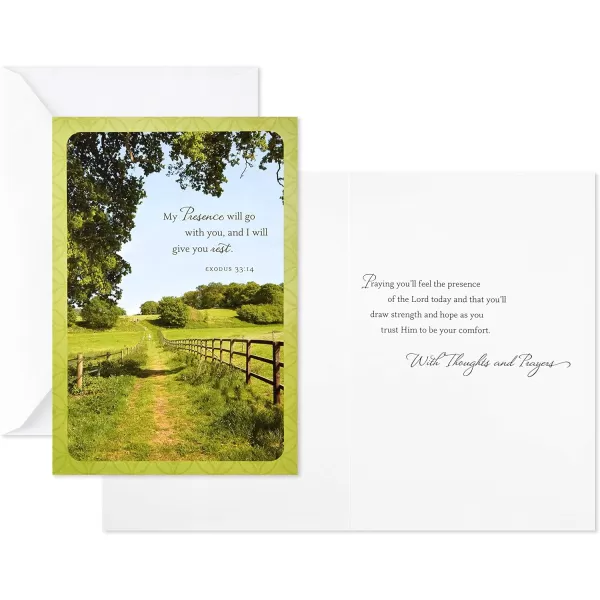 Dayspring Assorted Religious Sympathy Cards Christian Prayers 16 Cards and EnvelopesSympathy Cards 12 Ct