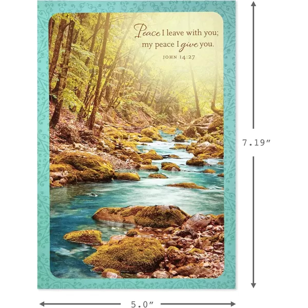 Dayspring Assorted Religious Sympathy Cards Christian Prayers 16 Cards and EnvelopesSympathy Cards 12 Ct