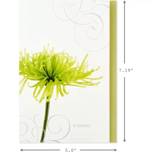 Hallmark Assorted Sympathy Cards Flowers 12 Cards and EnvelopesSympathy Cards