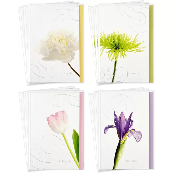 Hallmark Assorted Sympathy Cards Flowers 12 Cards and EnvelopesSympathy Cards  Birthday Cards  12 Cards