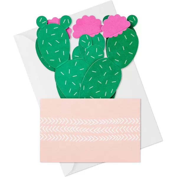 Hallmark Paper Wonder Pop Up Card Potted Cactus for Mothers Day Birthday Thinking of You Congrats Get Well Appreciation Any OccasionPop Up  Potted Cactus