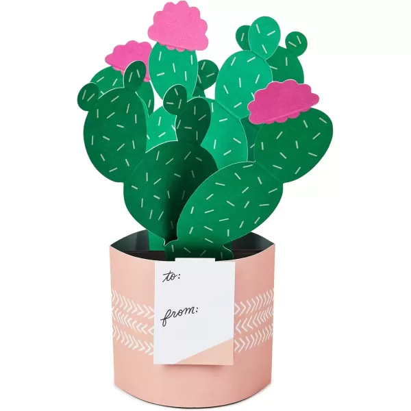 Hallmark Paper Wonder Pop Up Card Potted Cactus for Mothers Day Birthday Thinking of You Congrats Get Well Appreciation Any OccasionPop Up  Potted Cactus