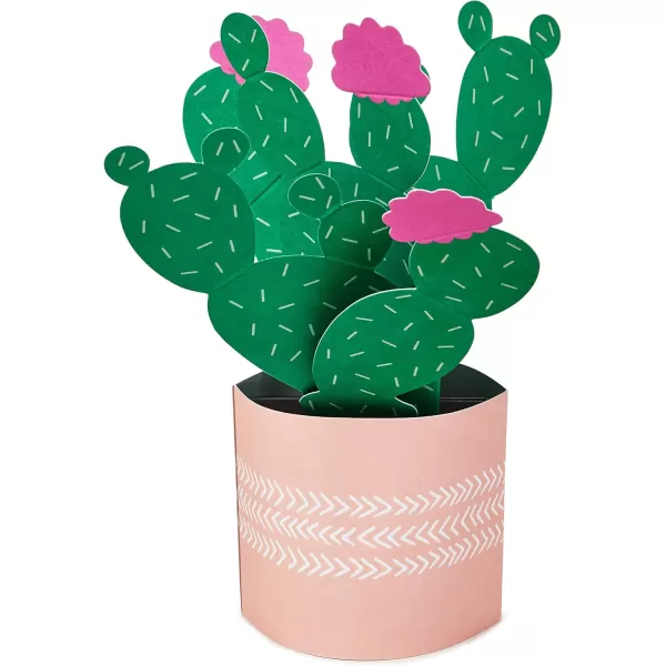 Hallmark Paper Wonder Pop Up Card Potted Cactus for Mothers Day Birthday Thinking of You Congrats Get Well Appreciation Any OccasionPop Up  Potted Cactus