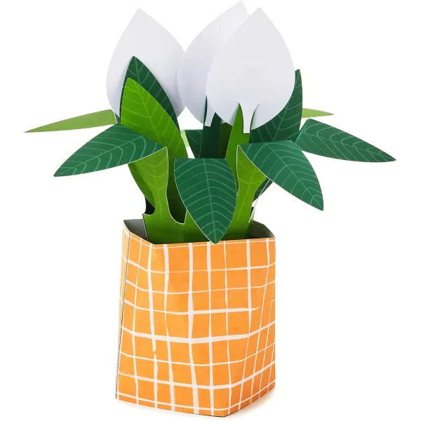 Hallmark Pop Up Mothers Day Card or Birthday Card for Women Sunflower BouquetPop Up  Potted Peace Lily