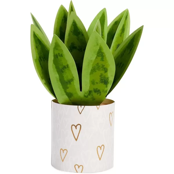 Hallmark Signature Paper Wonder Pop Up Anniversary Card Valentines Day Card Love Card Romantic Birthday Card Moon and BackPop Up  Snake Plant