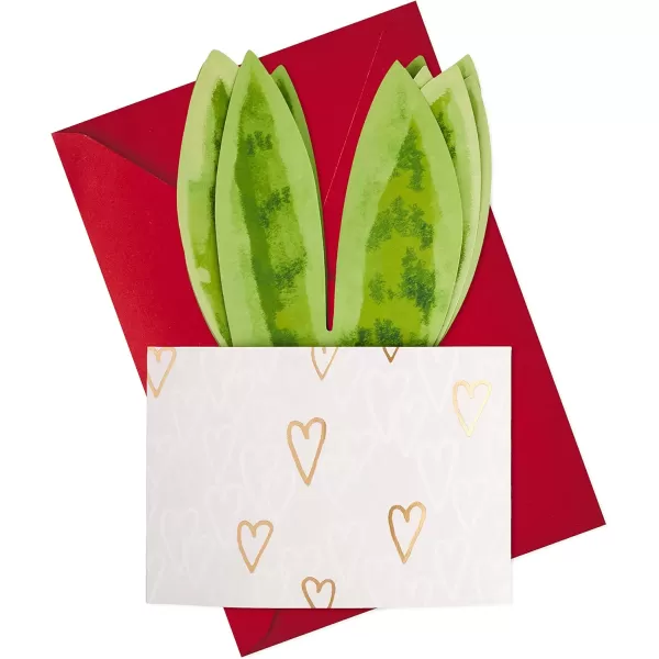 Hallmark Signature Paper Wonder Pop Up Anniversary Card Valentines Day Card Love Card Romantic Birthday Card Moon and BackPop Up  Snake Plant