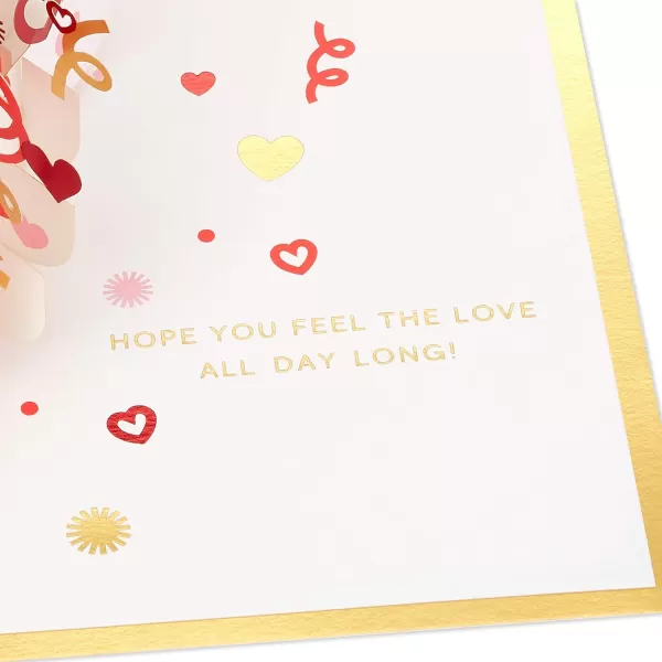 Hallmark Signature Paper Wonder Pop Up Love Card Because I Have You Birthday Card Anniversary Card Sweetest Day CardRed