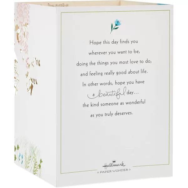 Hallmark Signature Pop Up Mothers Day Card or Birthday Card for Women Her Wife ButterflyPop Up  Beautiful Day