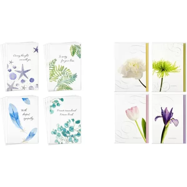 Hallmark Sympathy Cards Assortment Watercolor Nature 12 Assorted Thinking of You Cards with EnvelopesThoughts