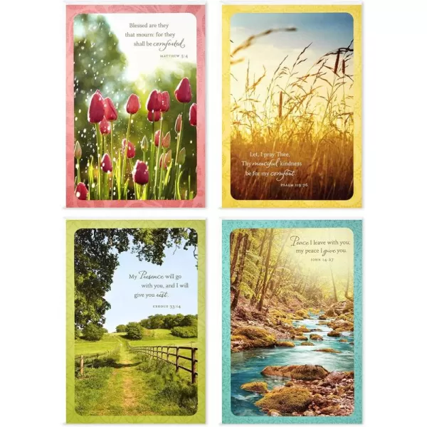 Dayspring Assorted Religious Sympathy Cards Christian Prayers 16 Cards and EnvelopesSympathy Cards 12 Ct