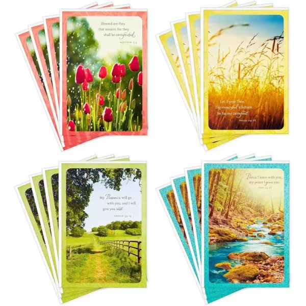 Dayspring Assorted Religious Sympathy Cards Christian Prayers 16 Cards and EnvelopesSympathy Cards