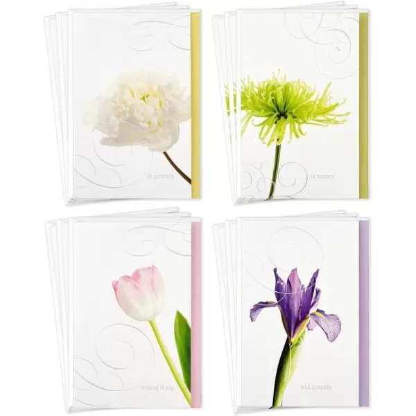 Hallmark Assorted Sympathy Cards Flowers 12 Cards and EnvelopesSympathy Cards