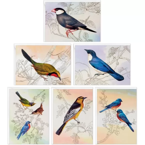 Hallmark Bird Note Card Assortment 24 Blank Cards with Envelopes Bluebird Mockingbird Sparrow Oriole Warbler