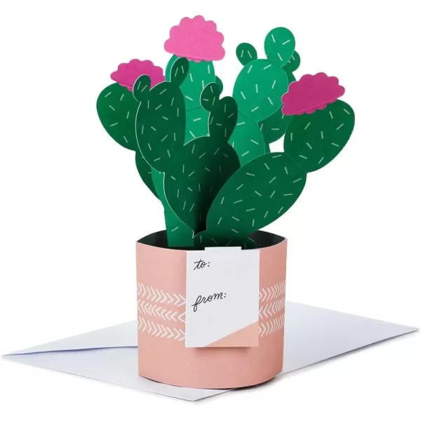 Hallmark Paper Wonder Pop Up Card Potted Cactus for Mothers Day Birthday Thinking of You Congrats Get Well Appreciation Any OccasionPop Up  Potted Cactus