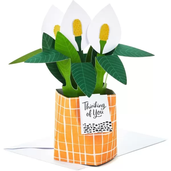 Hallmark Pop Up Mothers Day Card or Birthday Card for Women Sunflower BouquetPop Up  Potted Peace Lily