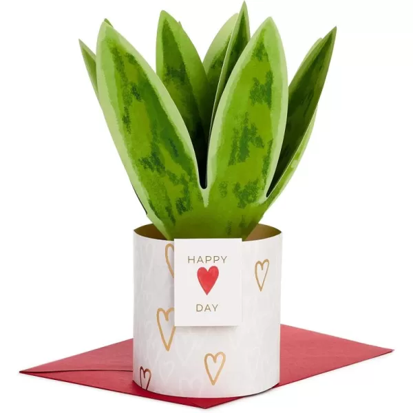 Hallmark Signature Paper Wonder Pop Up Anniversary Card Valentines Day Card Love Card Romantic Birthday Card Moon and BackPop Up  Snake Plant