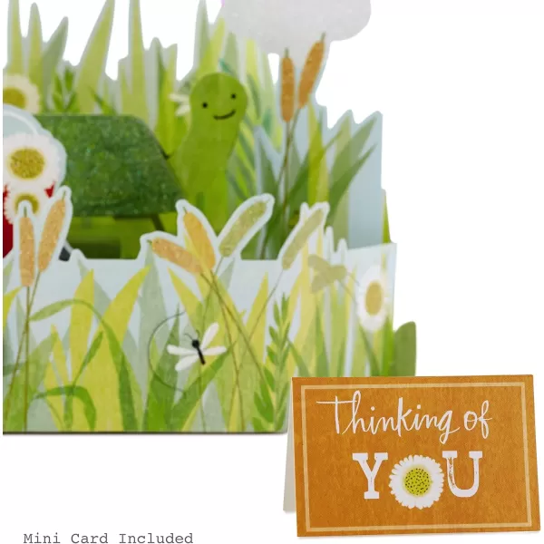 Hallmark Paper Wonder Thinking of You Get Well Pop Up Card Rainbow