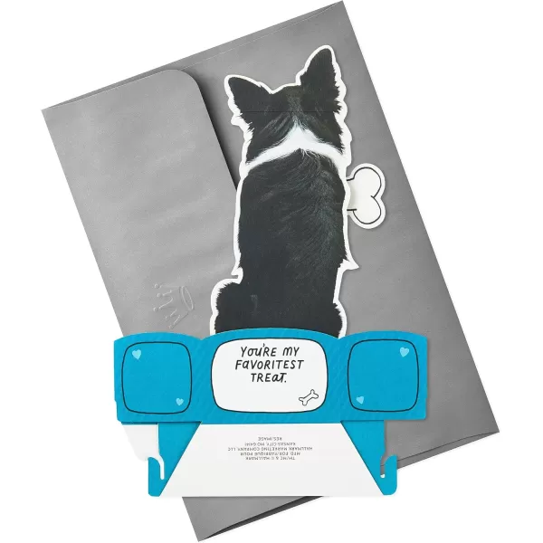 Hallmark Shoebox Funny Anniversary Card All Night Long for Birthday Love Just Because and MoreDog Treat