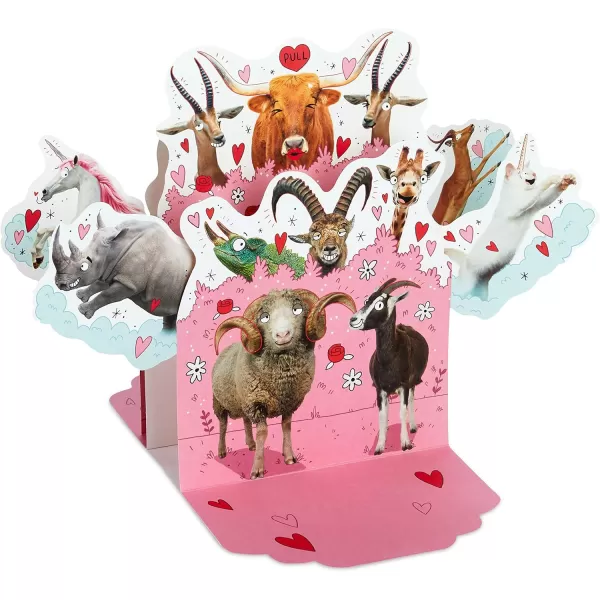 Hallmark Shoebox Funny Anniversary Card All Night Long for Birthday Love Just Because and MorePop Up  Horny Animals