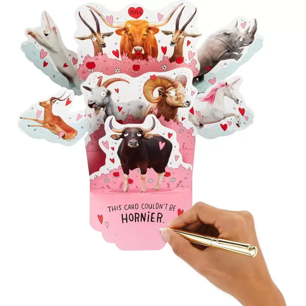 Hallmark Shoebox Funny Anniversary Card All Night Long for Birthday Love Just Because and MorePop Up  Horny Animals