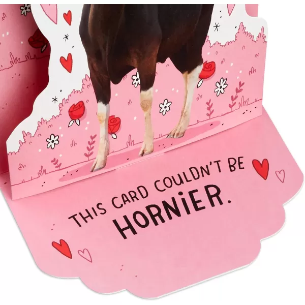 Hallmark Shoebox Funny Anniversary Card All Night Long for Birthday Love Just Because and MorePop Up  Horny Animals